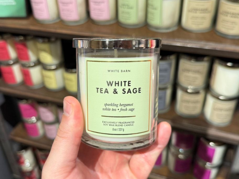 Hand holding a White Tea & Sage Bath & Body Works Single Wick Candle