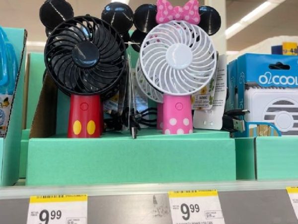Disney Theme Park Fans Only $8.99 – Going Fast at Walgreens!