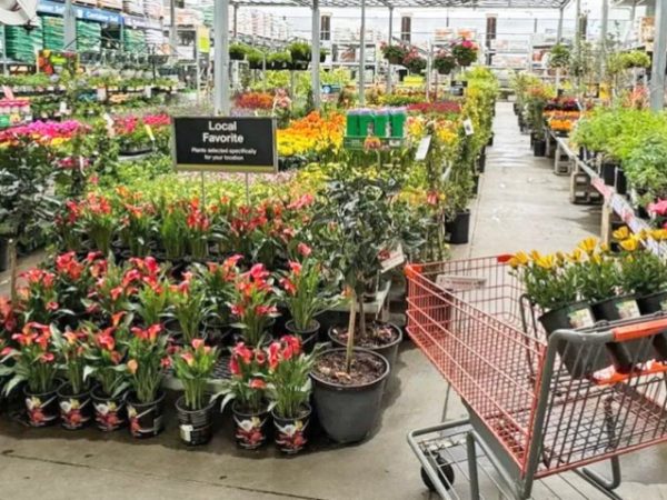 Home Depot 4th of July Sale is LIVE | Save on Plants, Tools, Appliances, & More