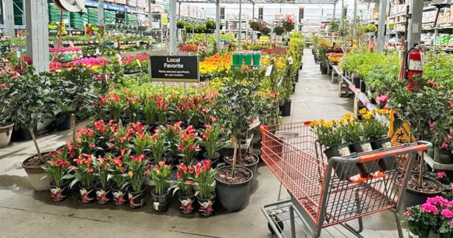 plant display inside Home Depot garden center with orange cart filled with flowers