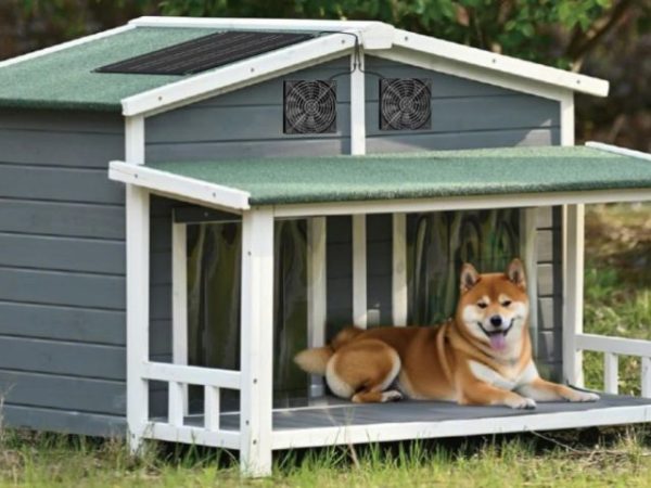 Solar-Powered Fan Kit Just $17.99 Shipped on Amazon | Great for Dog Houses, Sheds & More