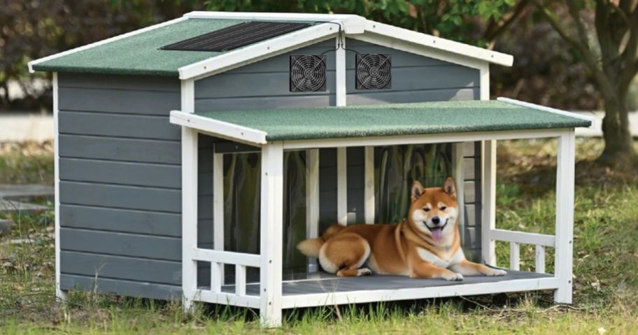 A dog house with Marbero Solar Fans and Solar panel attached to it