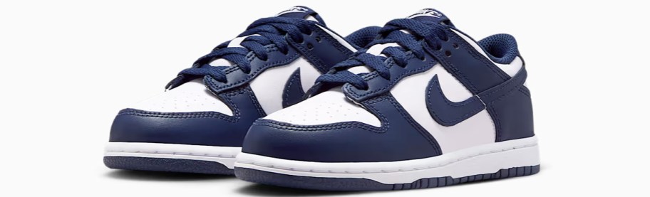 pair of navy blue and white nike sneakers