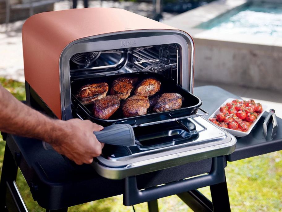 taking food out of ninja woodfire oven