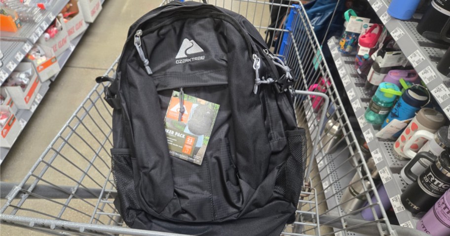 Ozark Trail Hiker Backpack