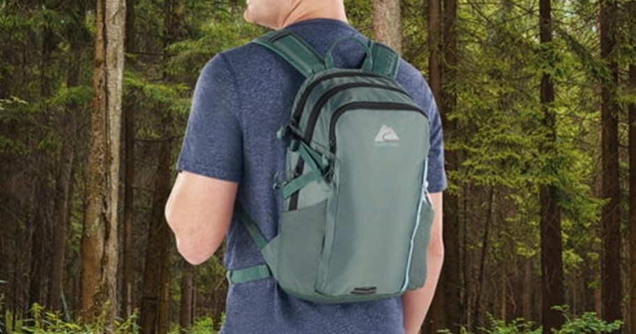 Ozark Trail Juniper 14L Backpack