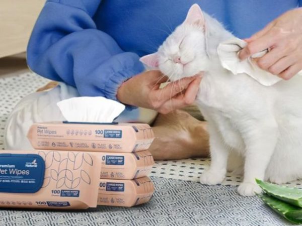 Premium Pet Wipes 412-Count Only $17 Shipped on Amazon (Reg. $30)
