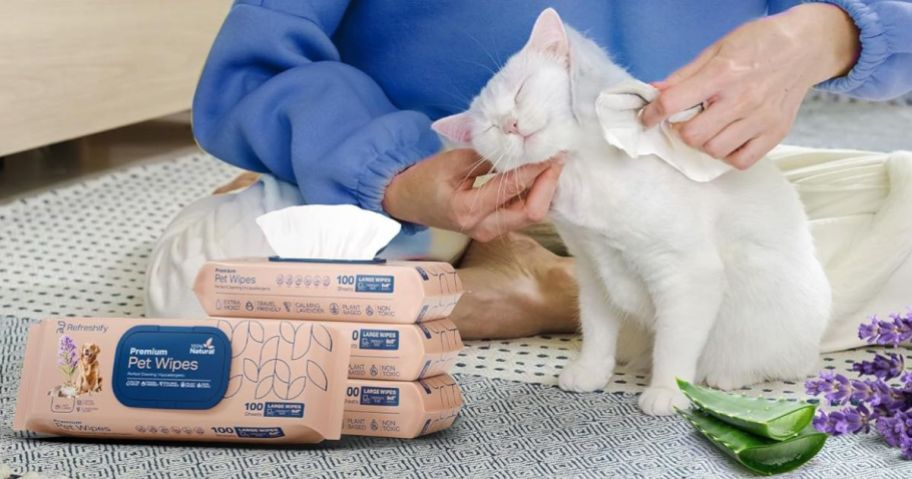 A cat being cleaned with a pet wipe with packs of Refreshify pet wipes next to it