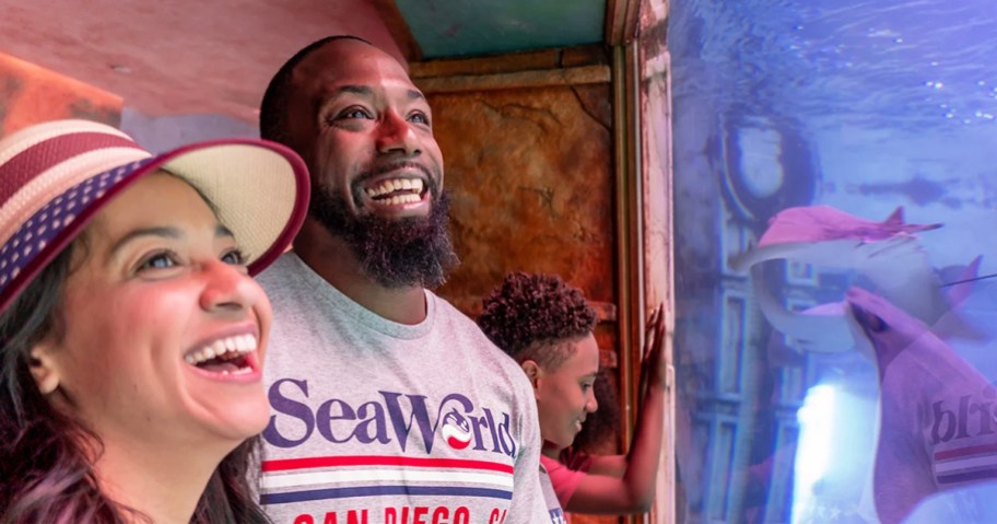 family standing at glass aquarium at SeaWorld