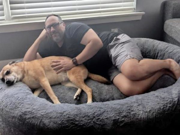 This Human-Sized Dog Bed on SamsClub.com Costs HUNDREDS Less Than a Plufl!