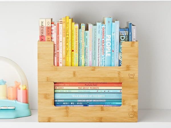 *HOT* The Home Edit Open Front Stackable Bins 2-Pack only $12.13!