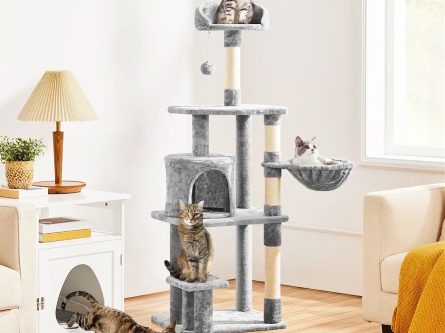 multiple cats on a grey cat tree in a living room