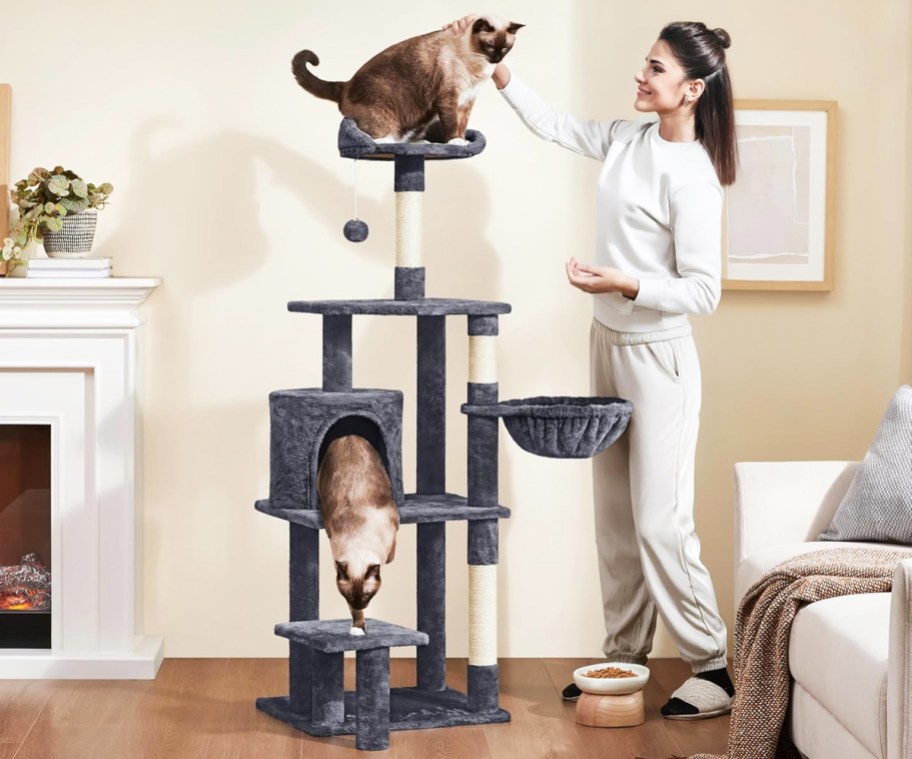 woman petting a cat sitting at the top of a cat tree