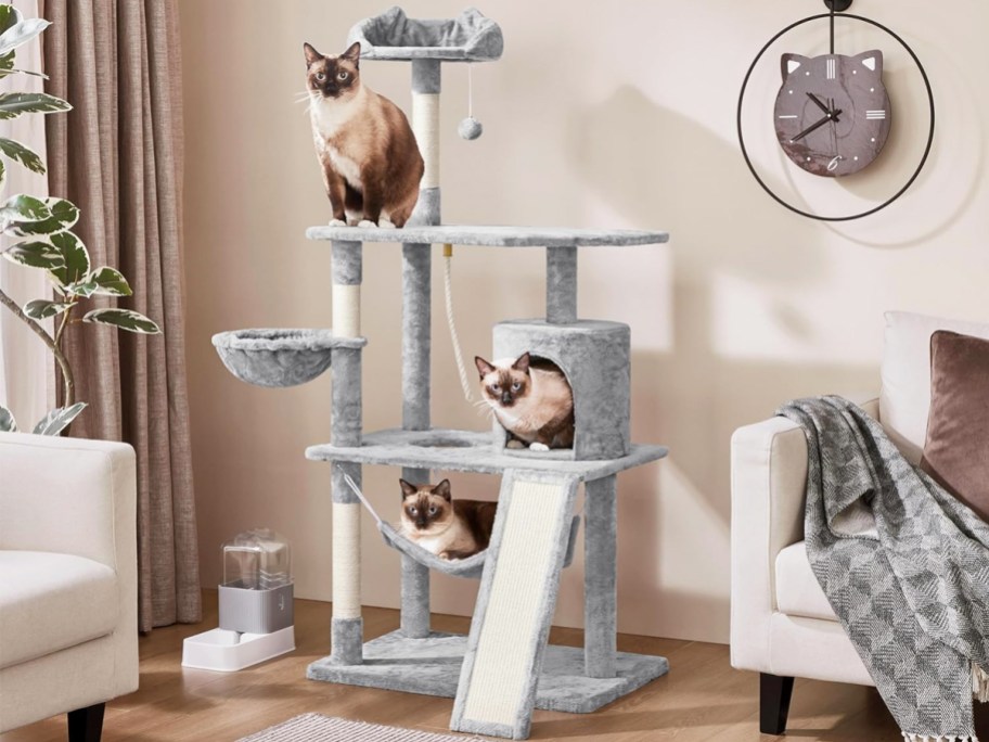 three cats on a grey cat tree in living room