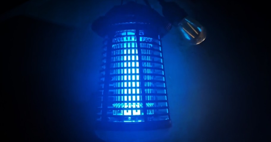bug zapper hanging on wall