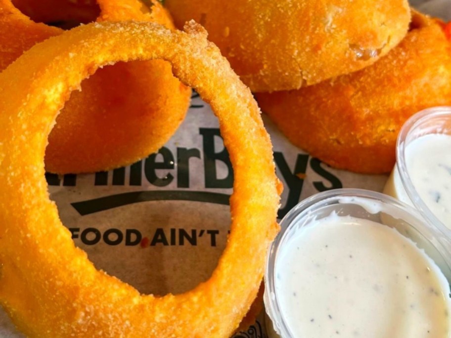 onion rings and dip on Farmer Boys parchment paper