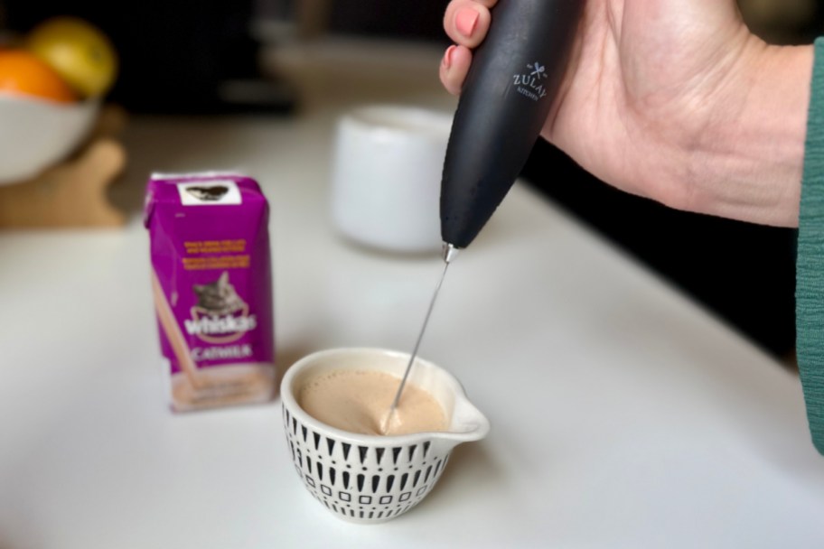 handheld frother in cat milk