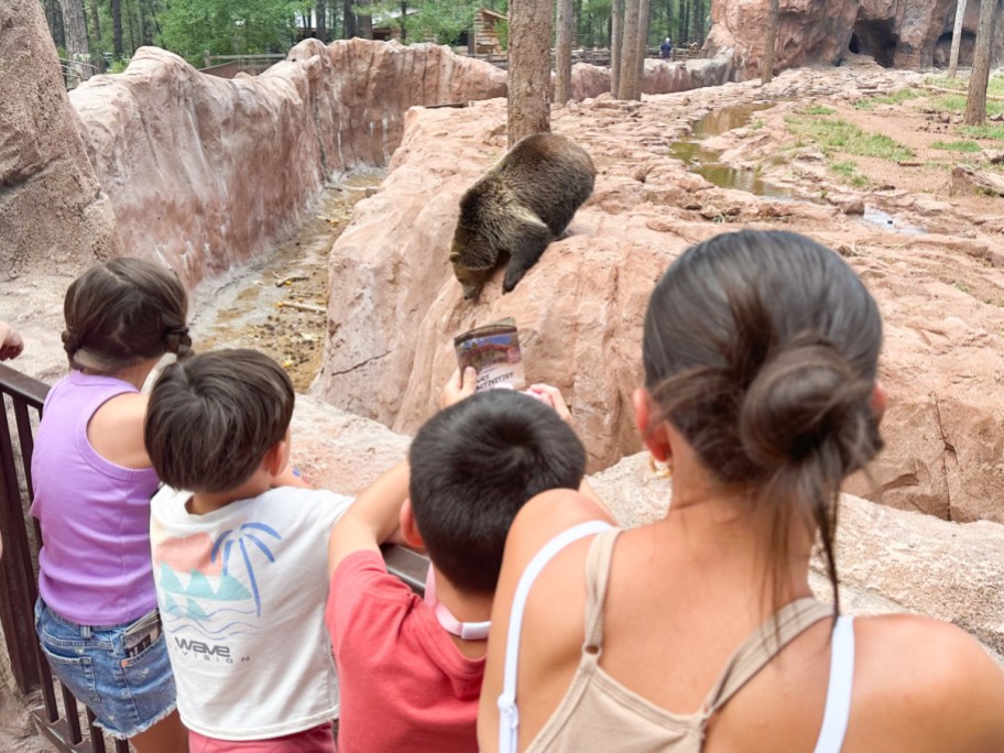 family watching bear in zoo habitat