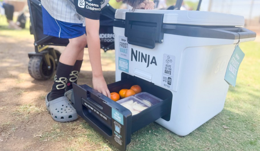 Child reaching into the ninja cooler compartment for some fruit