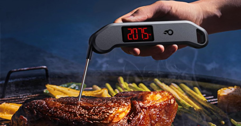 person using meat thermometer while cooking