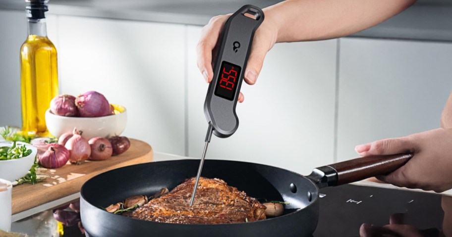 person using meat thermometer while cooking