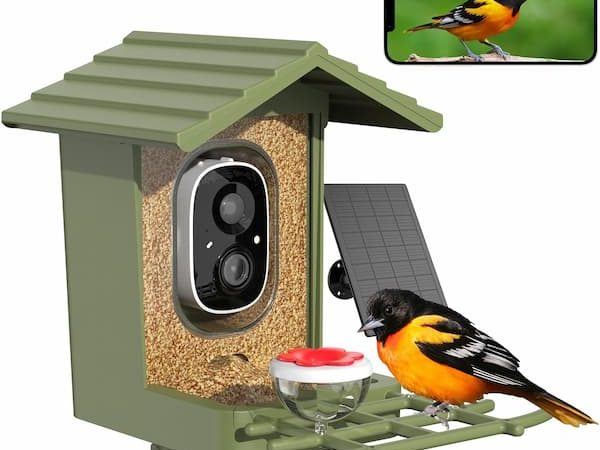 Smart Bird Feeder only $44.99 shipped!