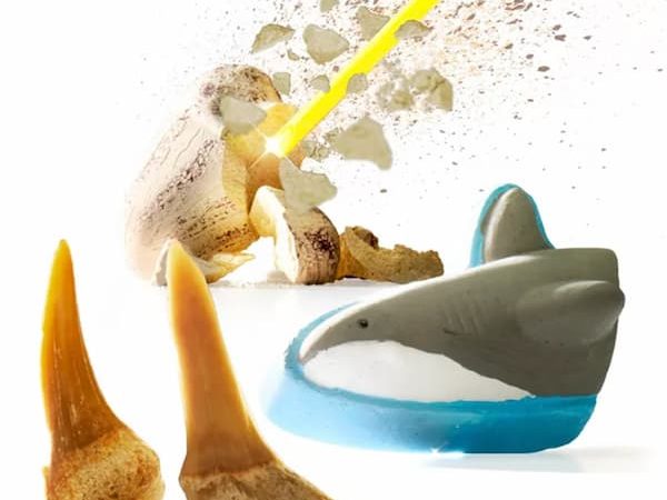 Discovery Mindblown STEM Kits as low as $6.99 at Macy’s! {Today Only}